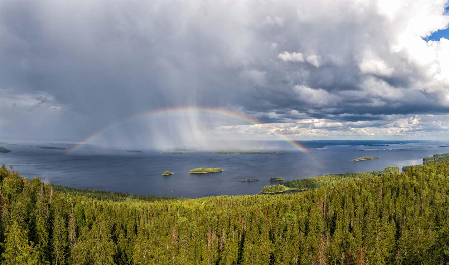 A panorama view of Pielinen Lake in Koli, Finland.